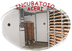 incubatoioaceri.it